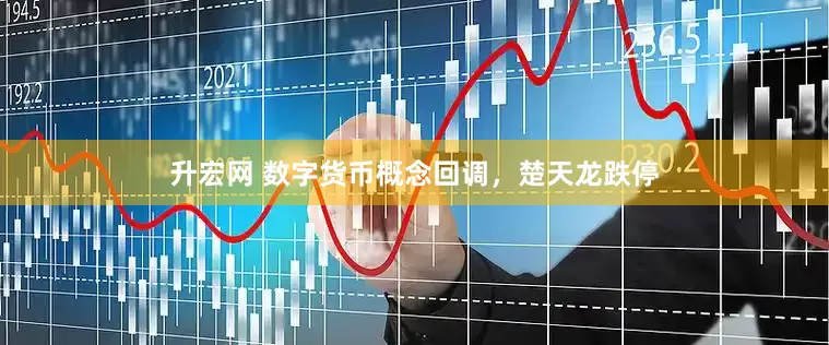 升宏网 数字货币概念回调，楚天龙跌停