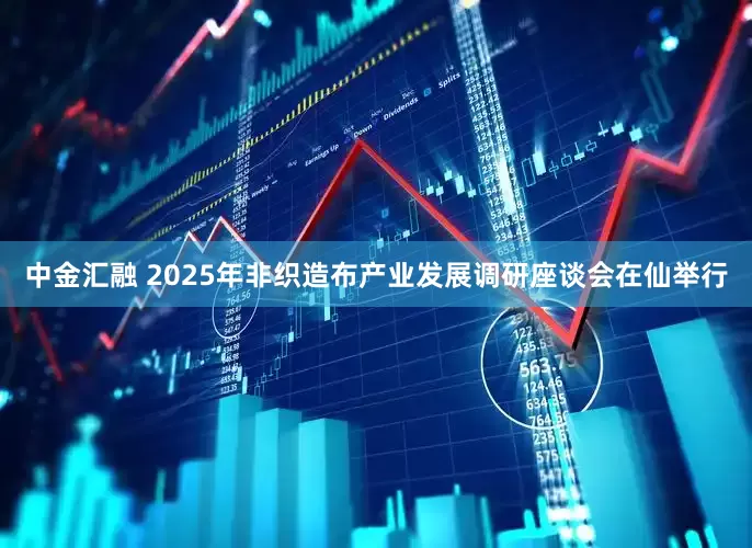 中金汇融 2025年非织造布产业发展调研座谈会在仙举行