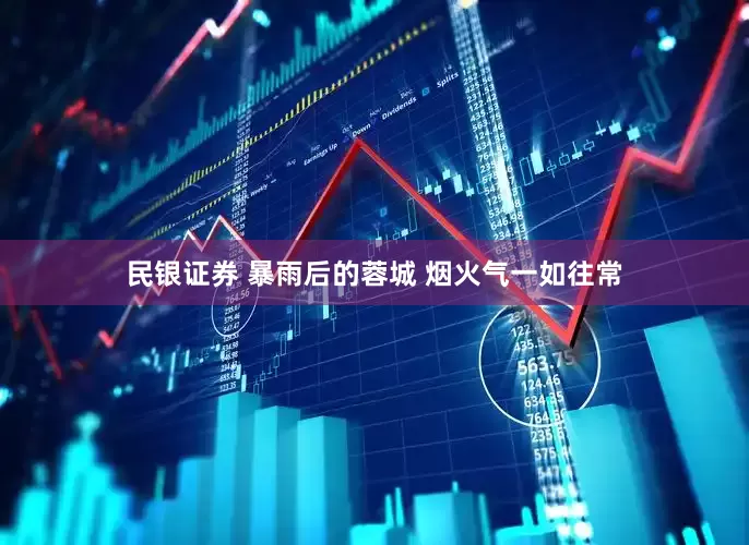 民银证券 暴雨后的蓉城 烟火气一如往常