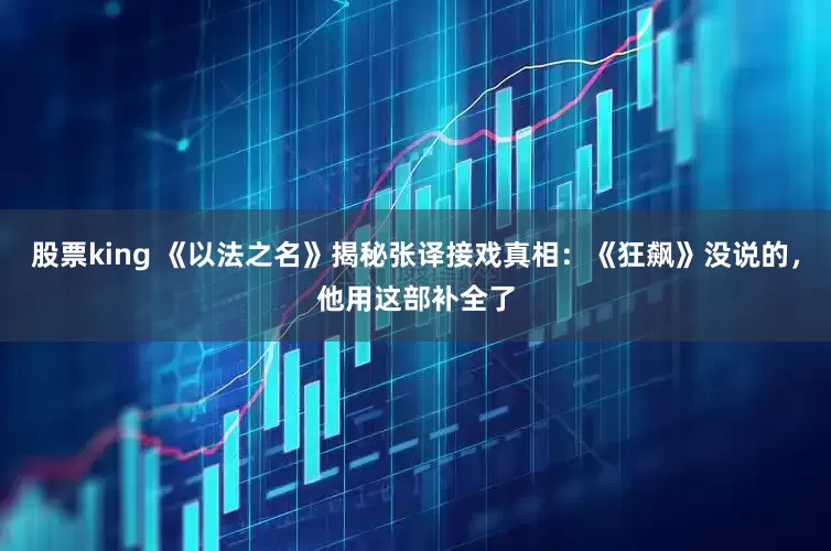 股票king 《以法之名》揭秘张译接戏真相：《狂飙》没说的，他用这部补全了