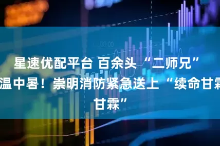 星速优配平台 百余头 “二师兄” 高温中暑！崇明消防紧急送上 “续命甘霖”