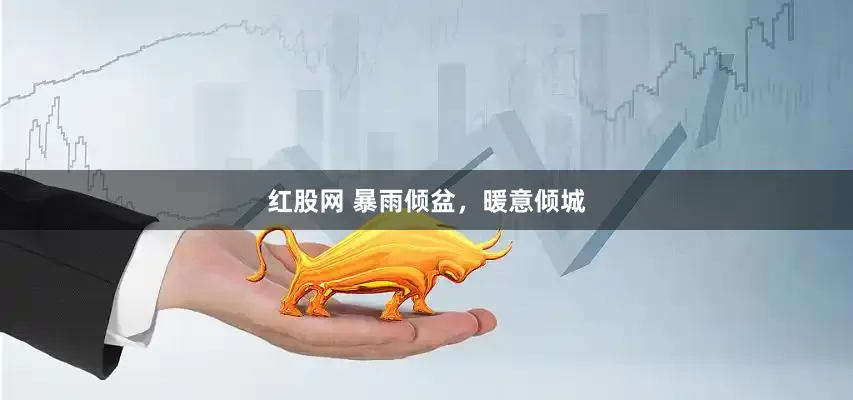 红股网 暴雨倾盆，暖意倾城