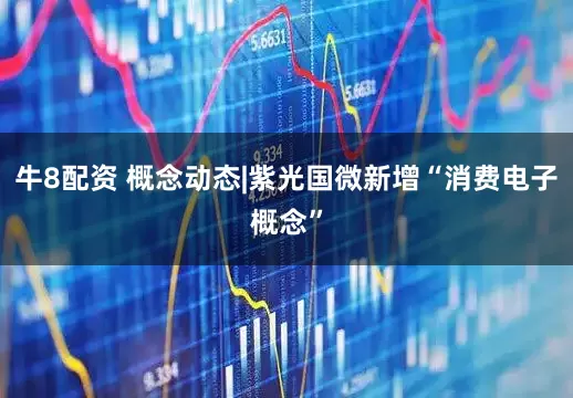 牛8配资 概念动态|紫光国微新增“消费电子概念”