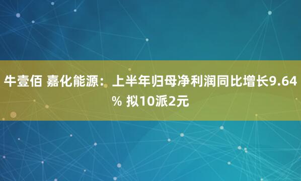 牛壹佰 嘉化能源：上半年归母净利润同比增长9.64% 拟10派2元